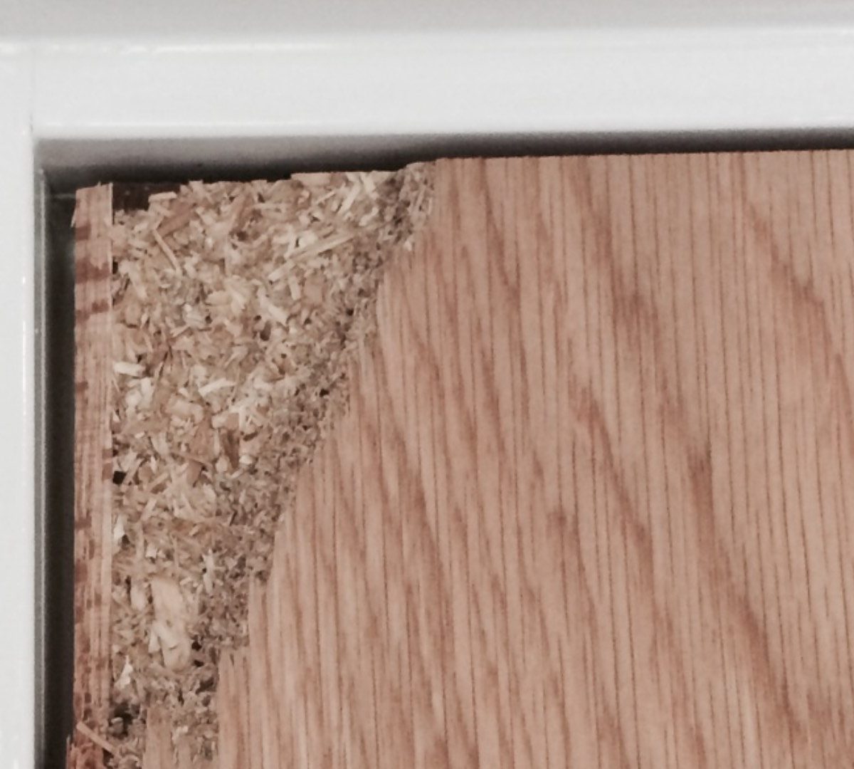 Door Repair