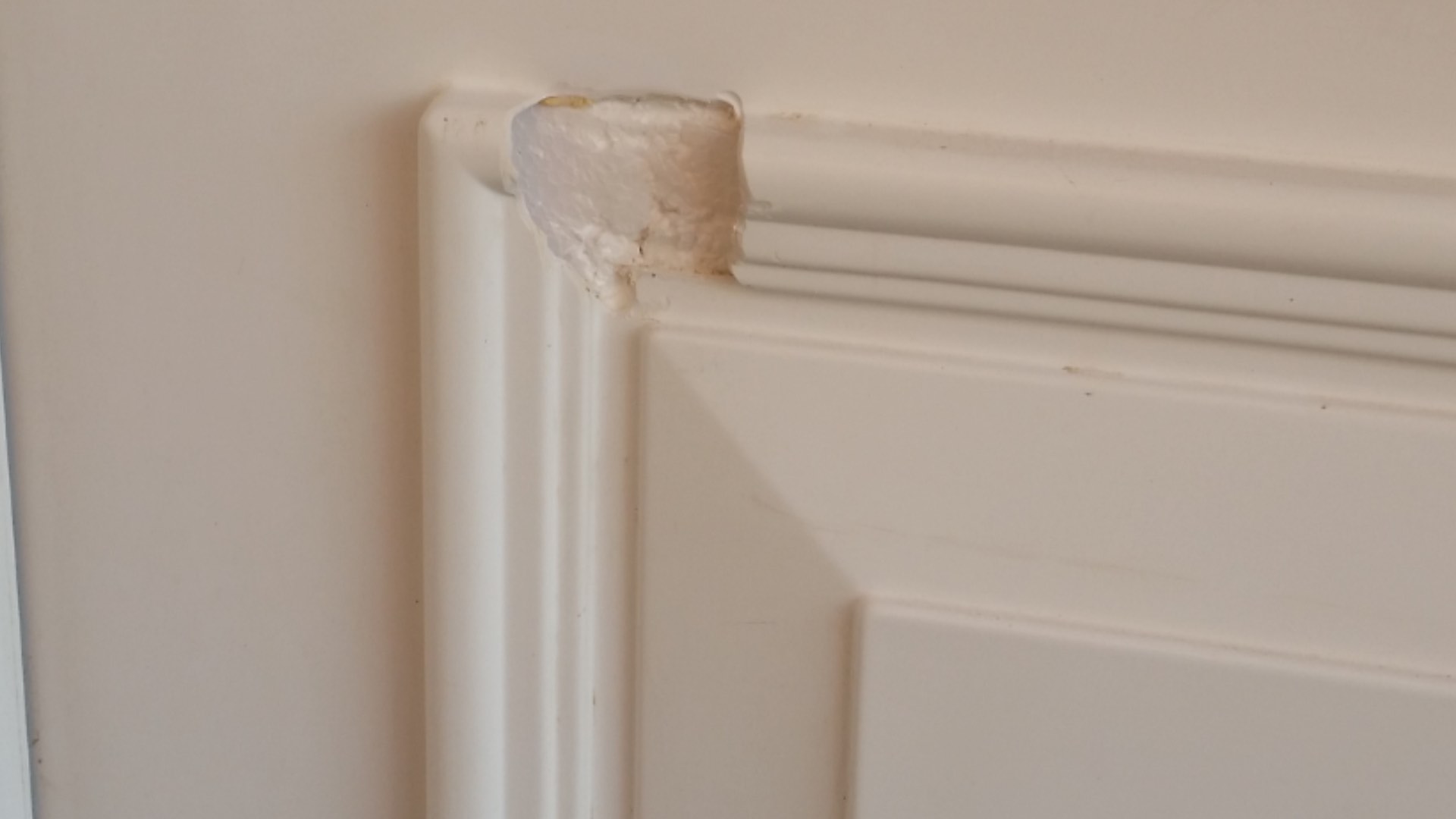Door Repair