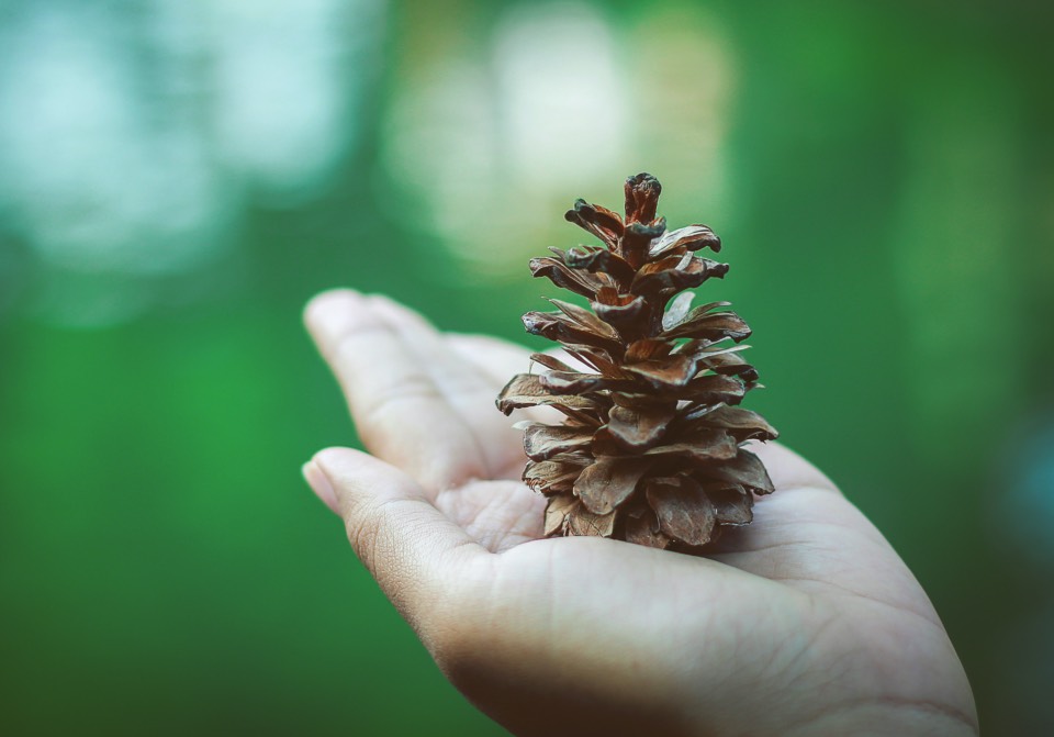 Restoration Over Replacement: The Smarter, Greener Choice