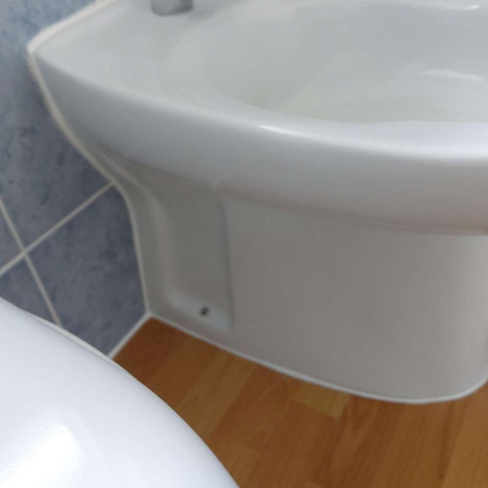 Bidet Repair After