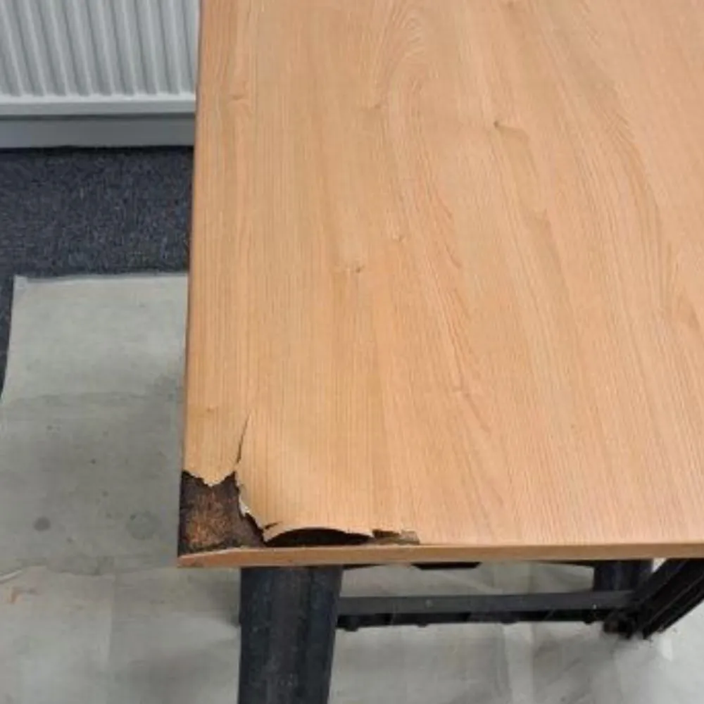 Cabinet Door Repair Before