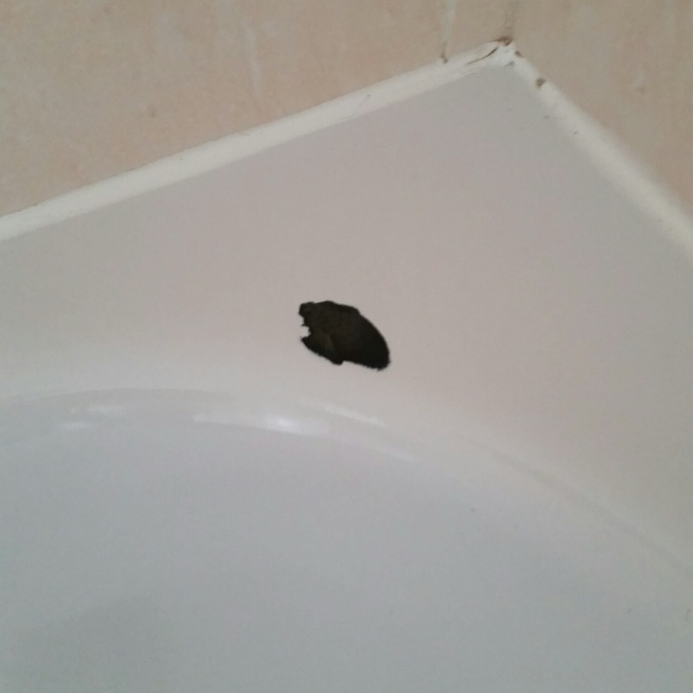 Shower Tray Repair
