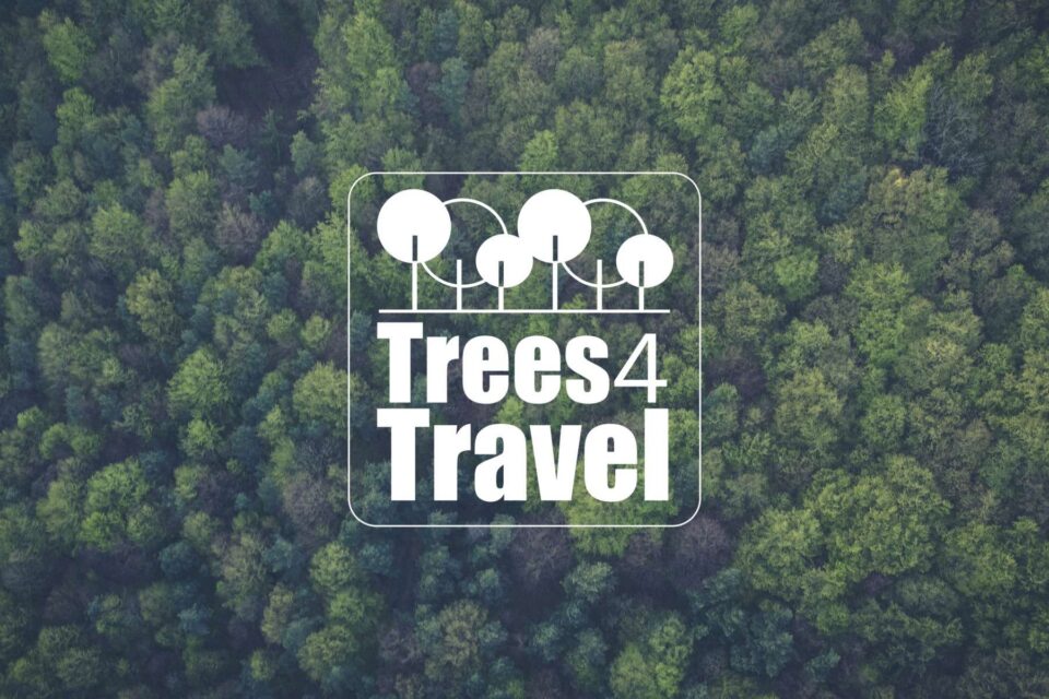 Trees 4 Travel Magicman