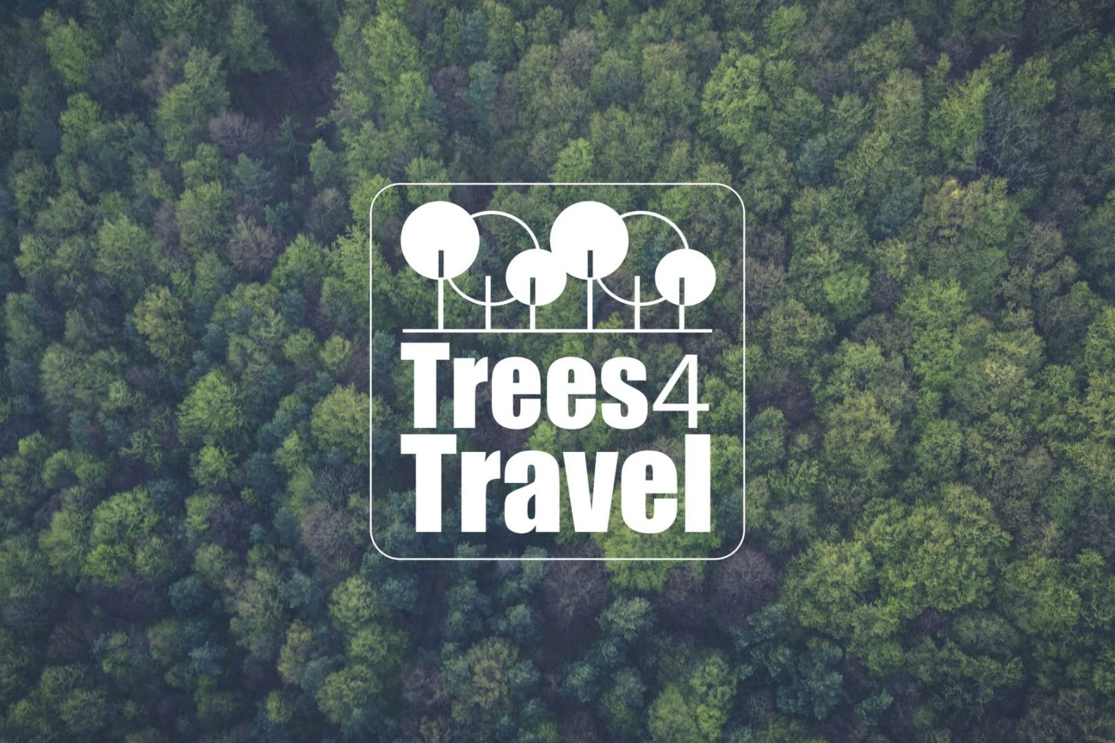 Trees 4 Travel Magicman
