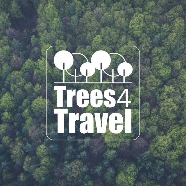 Trees 4 Travel Magicman