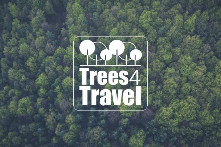 Trees 4 Travel Magicman